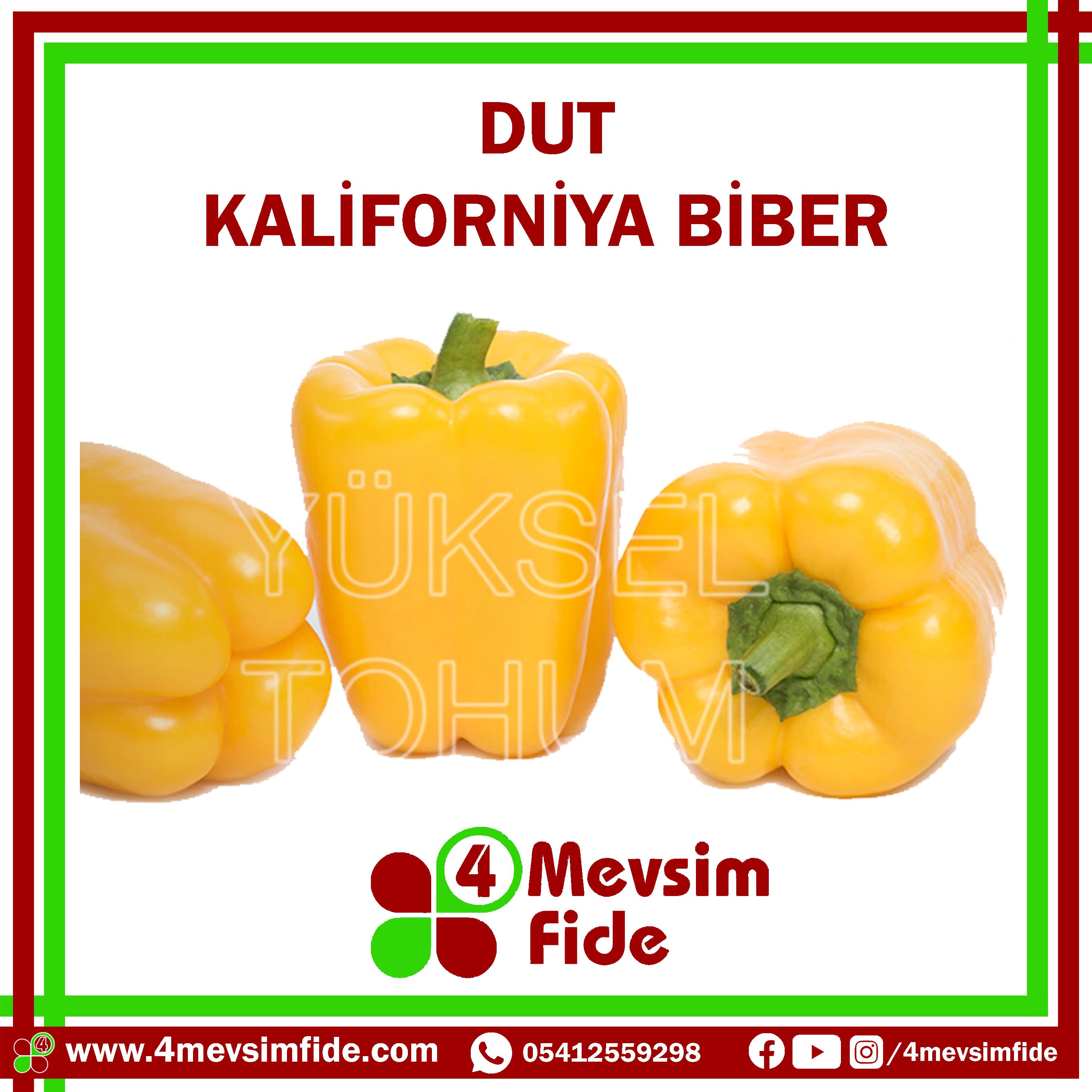 Dut F1 Kaliforniya Biber